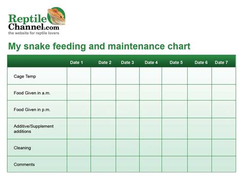 Printable Reptile Feeding Chart